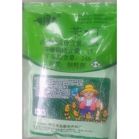 芐·丁